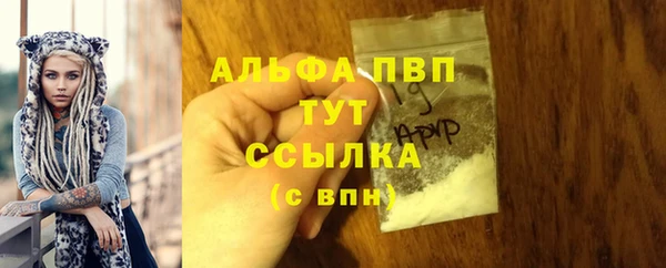 экстази Белокуриха